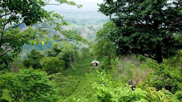 চট্টগ্রাম বিভাগের পার্বত্য জেলা খাগড়াছড়ির সাজেকের প্রাকৃতিক দৃশ্য। ৬ই জুন, ২০০৯। এখানকার ক্ষুদ্র নৃগোষ্ঠীর মানুষ খাদ্যশস্য উৎপাদনের জন্য জুম চাষের ওপর নির্ভরশীল।