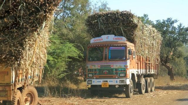 ইথানল ব্লেন্ডেড জ্বালানি তৈরি করতে দরকার হয় আখ