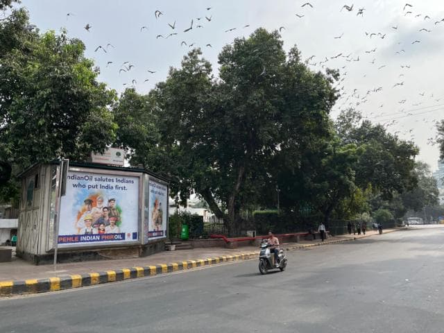 রোববার সকালে শুনশান যন্তর মন্তর সংলগ্ন সংসদ মার্গ
